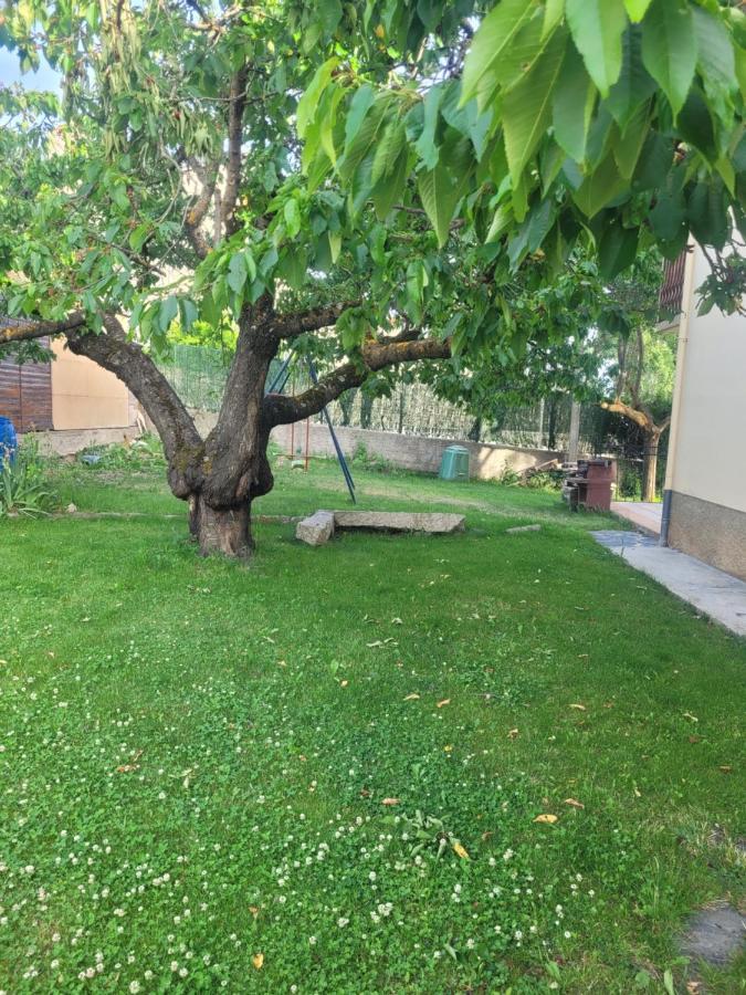 Maison De Vacances Au Coeur De La Cerdagne Angoustrine Esterno foto